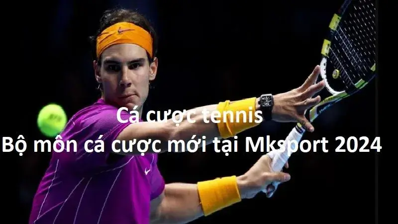 Cá cược tennis tại MKSport