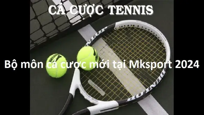 Kèo cá cược tennis tại MKSport