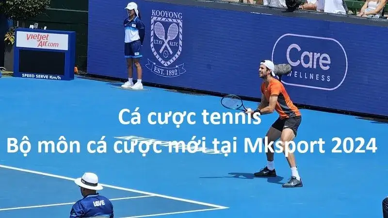 Ưu điểm của cược tennis tại MKSport