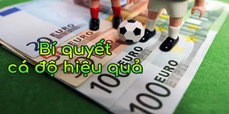 bí quyết cá độ hiệu quả